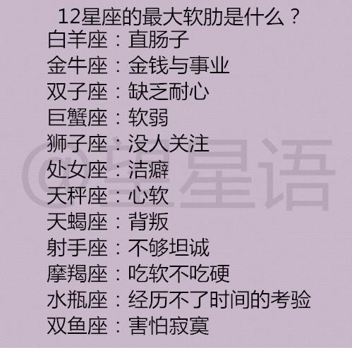 12星座专属理想婚姻关系，你找到了吗？插图