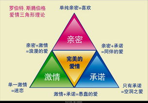 恋爱情感咨询-定制达成恋爱关系方案插图3