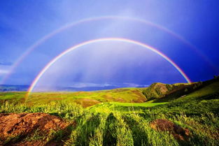 情感有哪几种,情感世界的七色彩虹插图