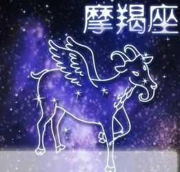 12星座谁最难以掌控的星座插图