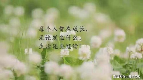 句句深入人心经典句子插图2